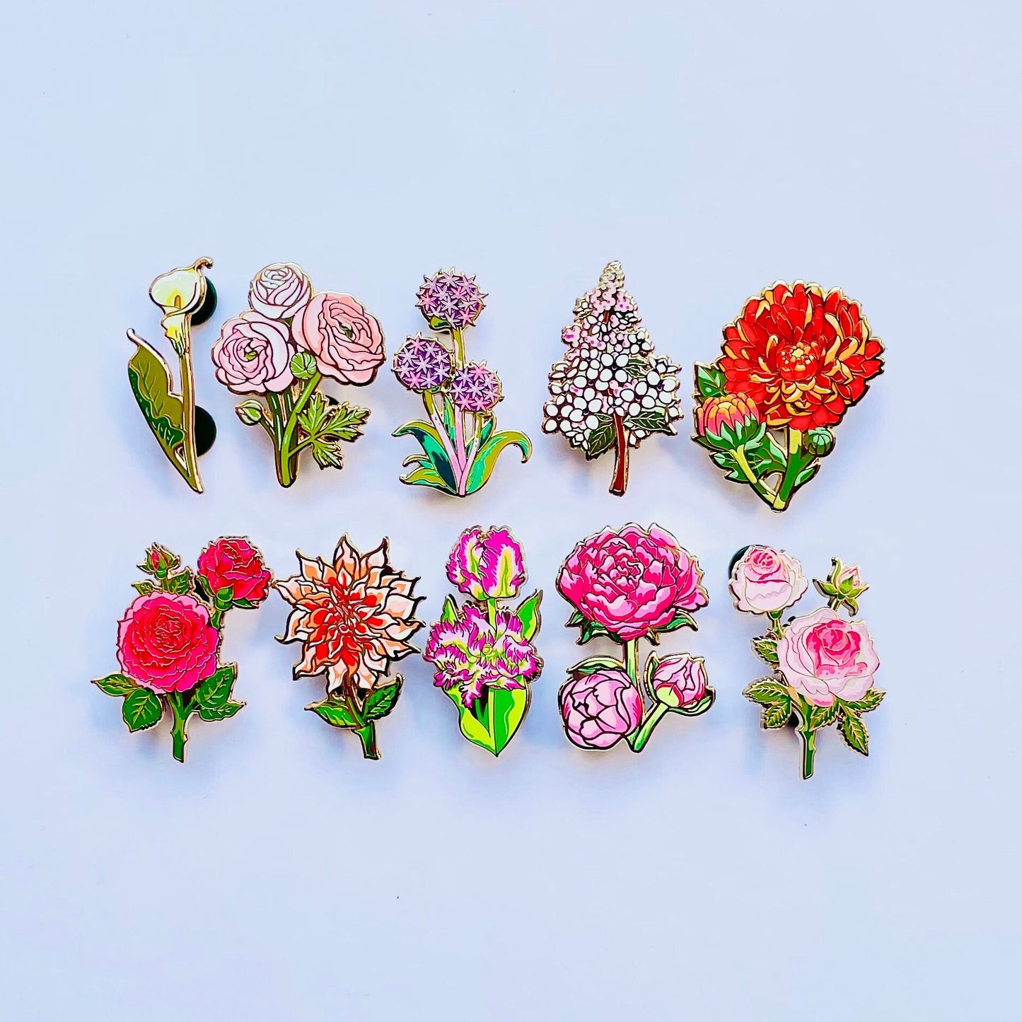 Parrot Enamel pin gift Badge, Rainbow Lorikeet, bird Gift, Australia brooch