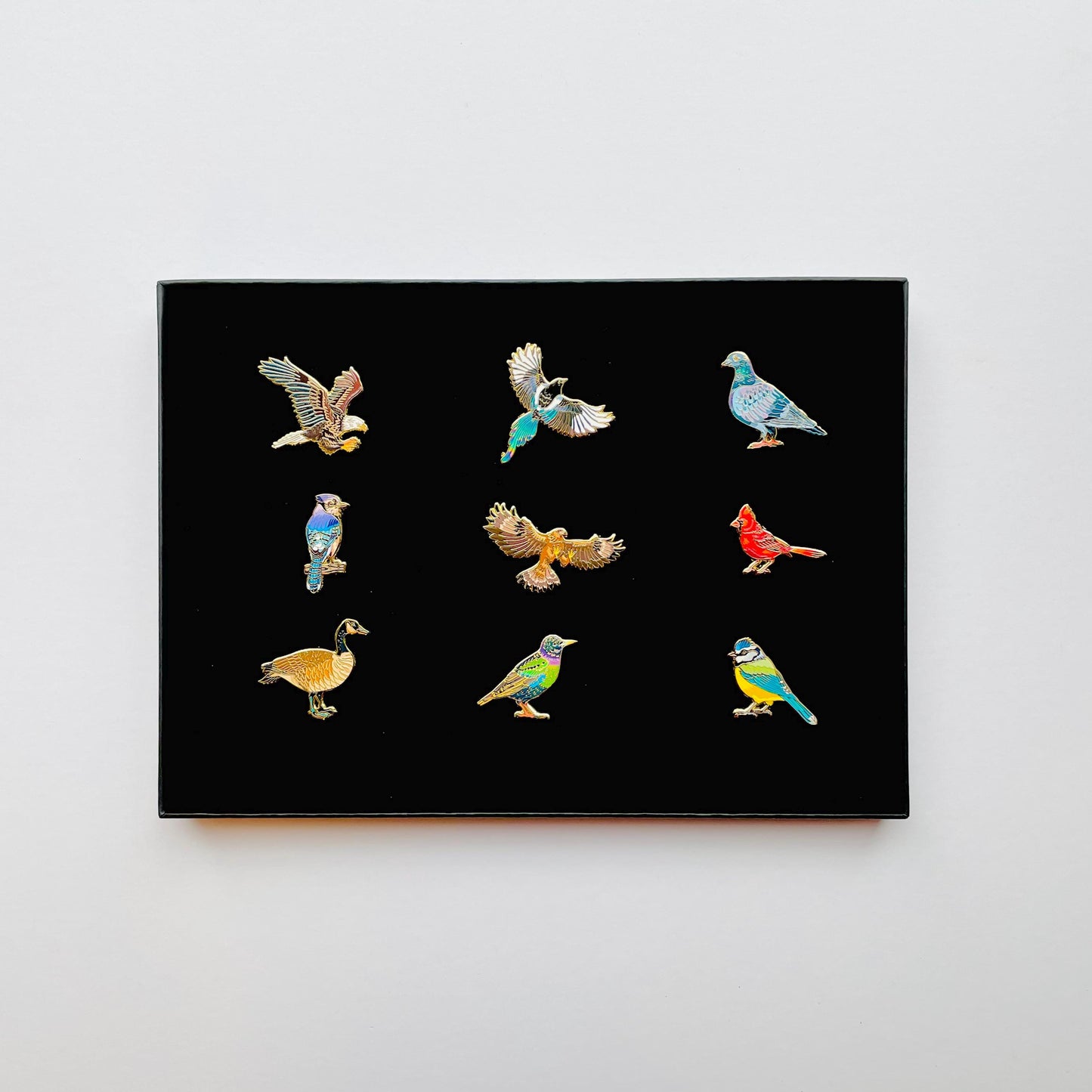 9 colourful bird pins in black gift box pigeon goose blue jay cardinal bald eagle golden eagle