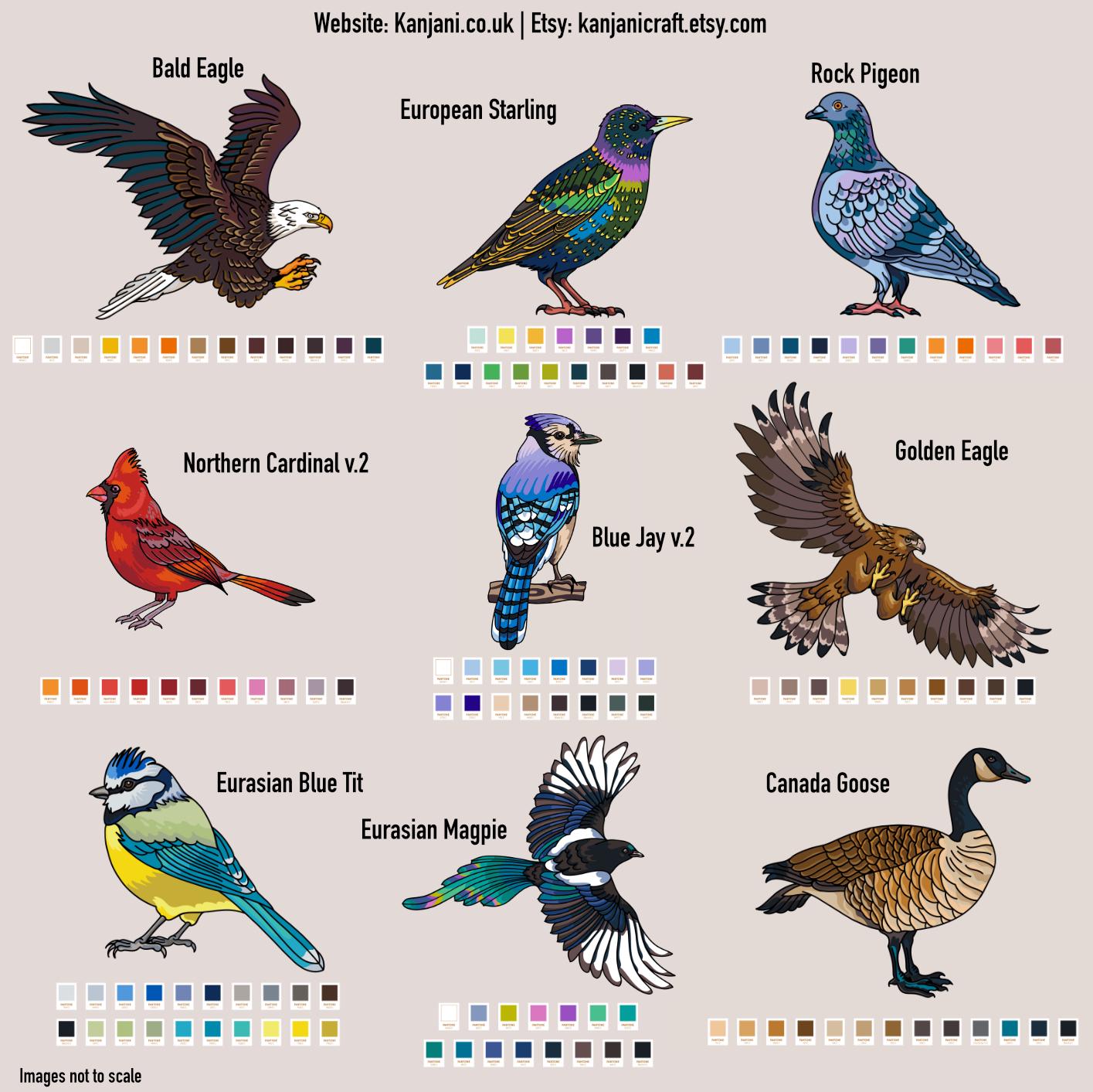 Blue Jay v.2 Enamel pin gift, Bird lapel badge, Gift him, her, kingfisher, pigeon, magpie