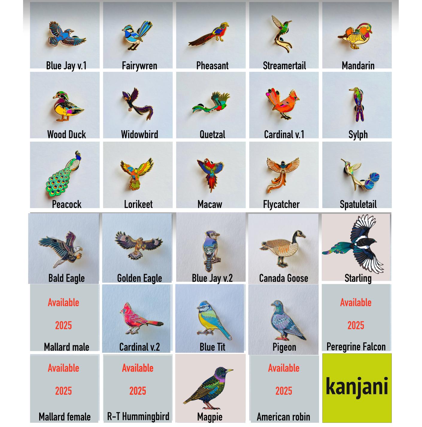 24 Enamel pin gift Birds Advent Calendar, family fun lapel badges, nature, science, wildlife, educational