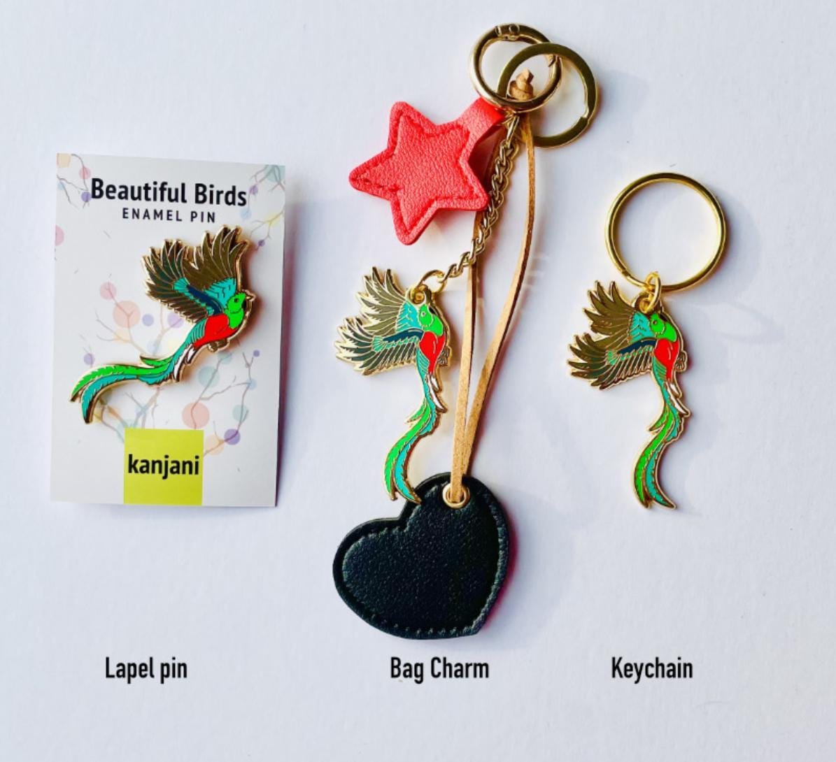 Pigeon bird earrings gift, Rock dove dangle, cute gift for her, bird themed jewelry, acrylic