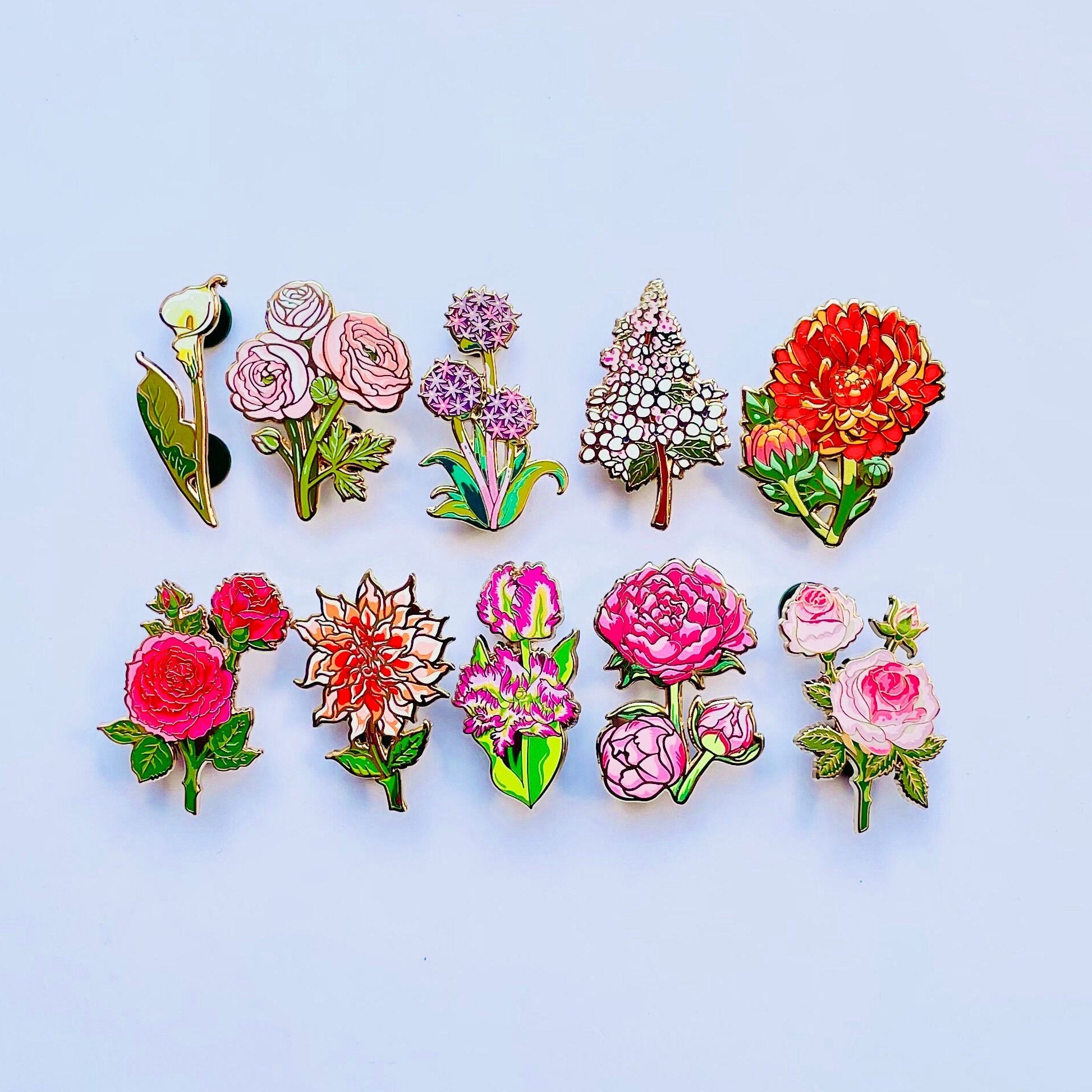 Parrot Enamel pin gift Badge, Rainbow Lorikeet, bird Gift, Australia brooch