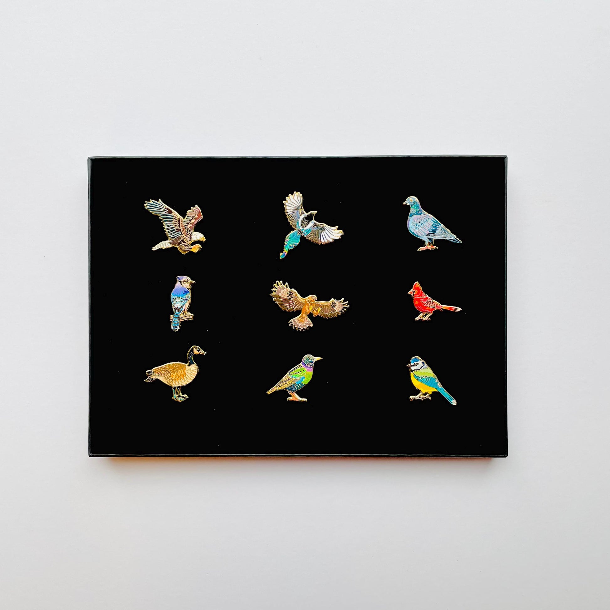 9 colourful bird pins in black gift box pigeon goose blue jay cardinal bald eagle golden eagle