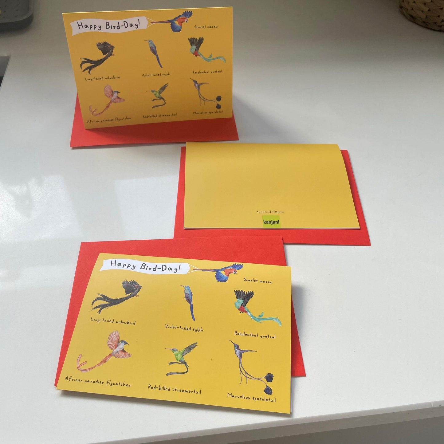 Beautiful Birds Birthday Card | Tropical Birds Card | gift for him | birds greeting card | Quetzal Macaw Hummingbird card | gift for dad