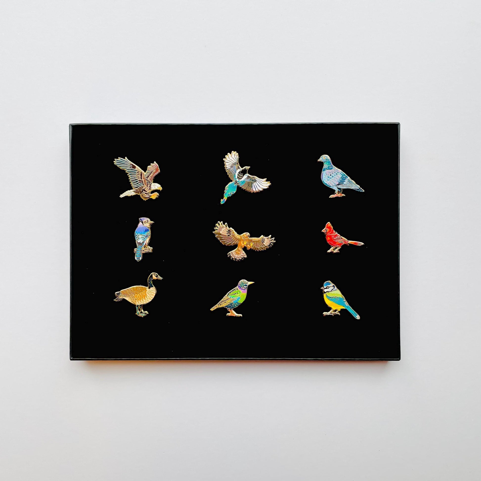 9 colourful bird pins in black gift box pigeon goose blue jay cardinal bald eagle golden eagle