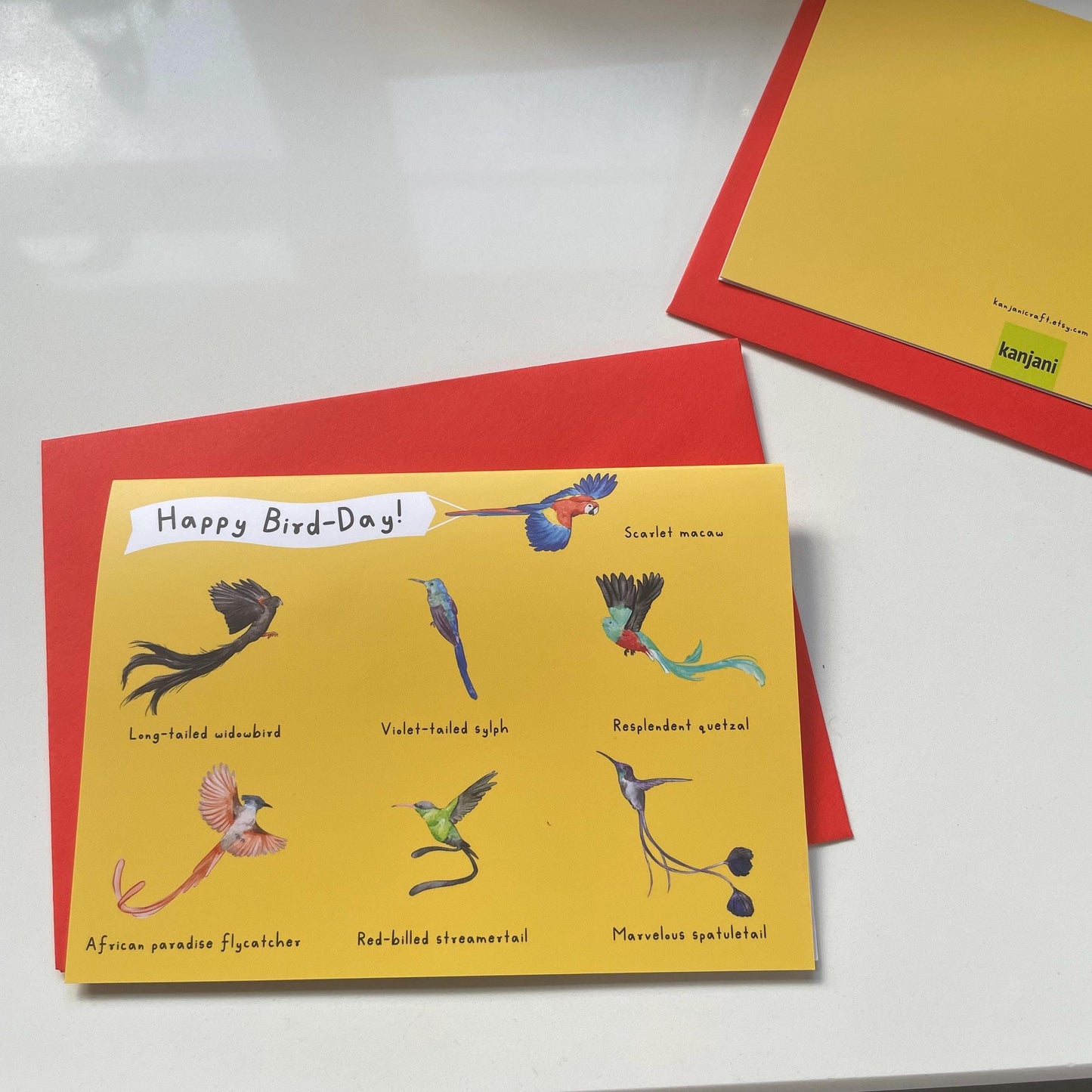 Beautiful Birds Birthday Card | Tropical Birds Card | gift for him | birds greeting card | Quetzal Macaw Hummingbird card | gift for dad