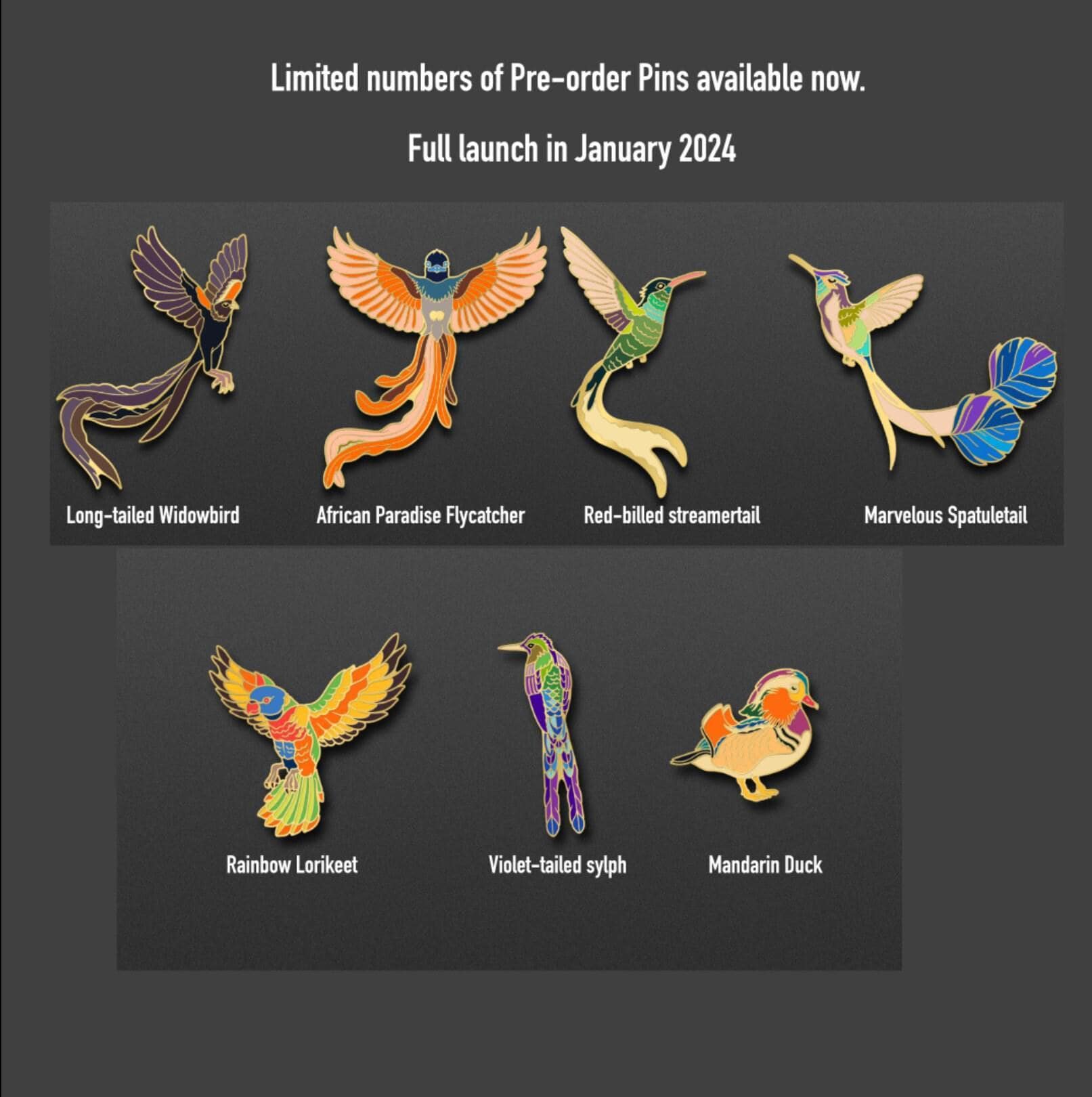 Beautiful Birds Birthday Card | Tropical Birds Card | gift for him | birds greeting card | Quetzal Macaw Hummingbird card | gift for dad