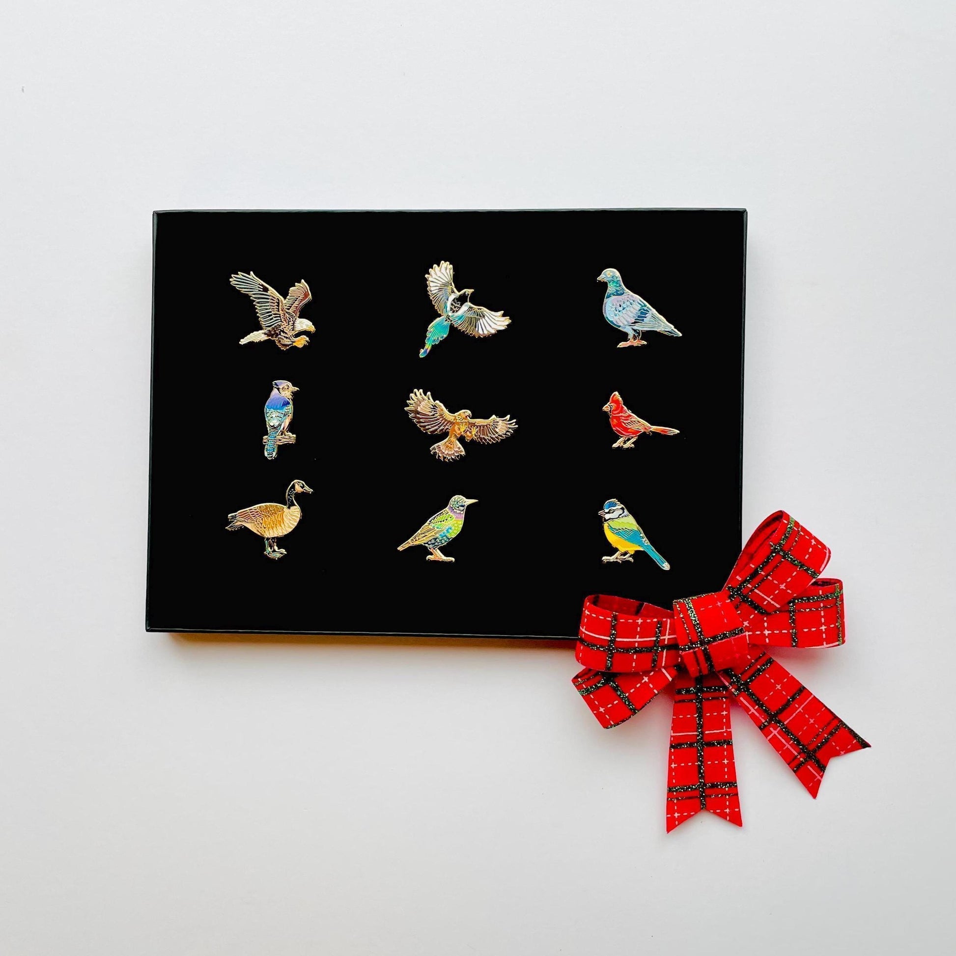 9 colourful bird pins in black gift box pigeon goose blue jay cardinal bald eagle golden eagle