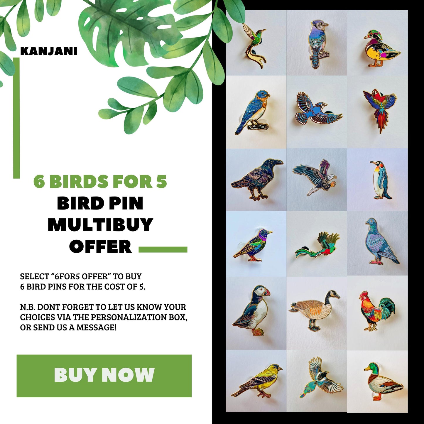 The image is an advertisement for a bird pin multibusoy offer. It features a collage of various colorful bird pins displayed in a grid layout. The text on the advertisement highlights the offer, stating that customers can purchase 6 bird pins for the cost of 5, and that the personalization box is available for sending a message. The advertisement also includes a "BUY NOW" button at the bottom.