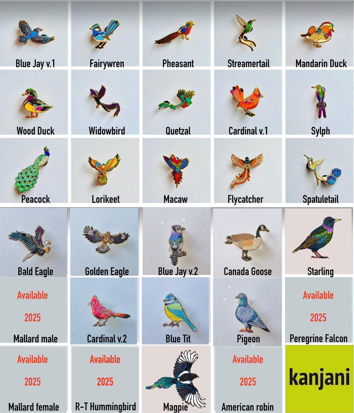 Bird Enamel Pin Set | Valentines Love Note, Quetzal Gift, Christmas stocking stuffer, Advent calendar