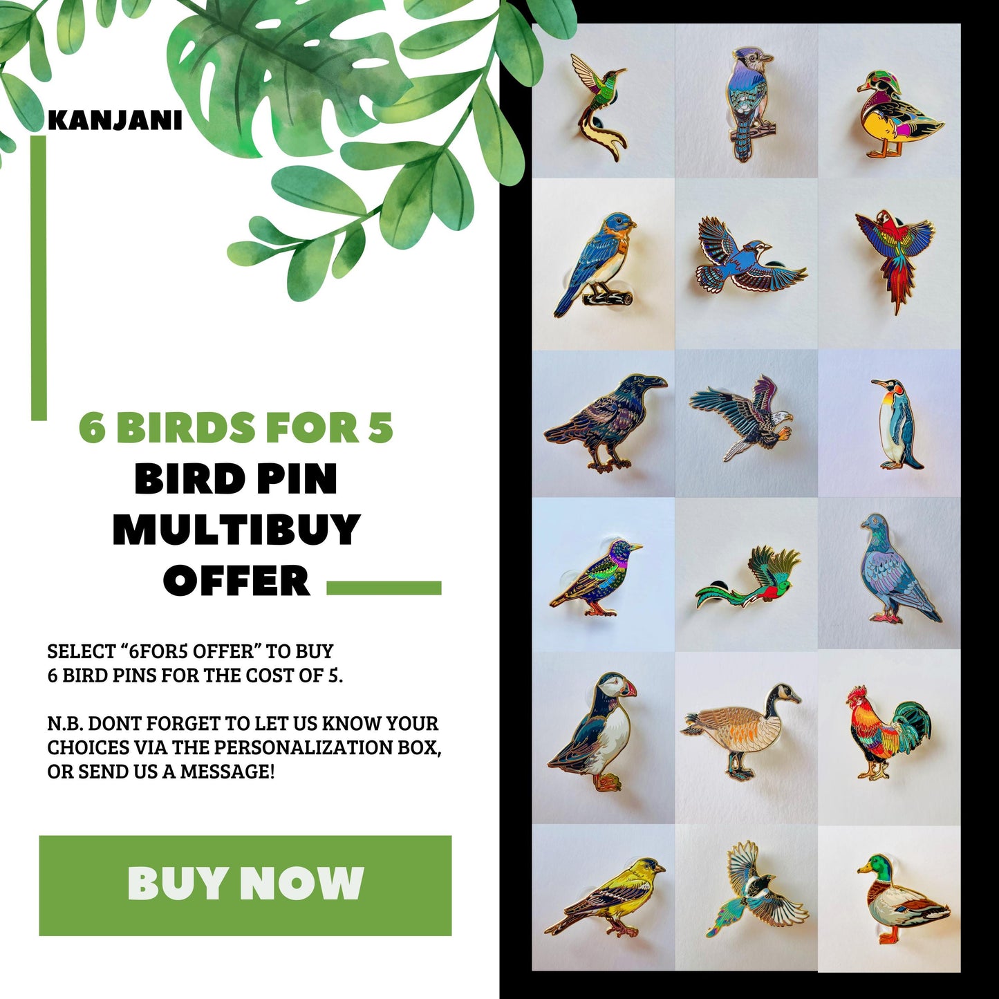 The image is an advertisement for a bird pin multibusoy offer. It features a collage of various colorful bird pins displayed in a grid layout. The text on the advertisement highlights the offer, stating that customers can purchase 6 bird pins for the cost of 5, and that the personalization box is available for sending a message. The advertisement also includes a "BUY NOW" button at the bottom.