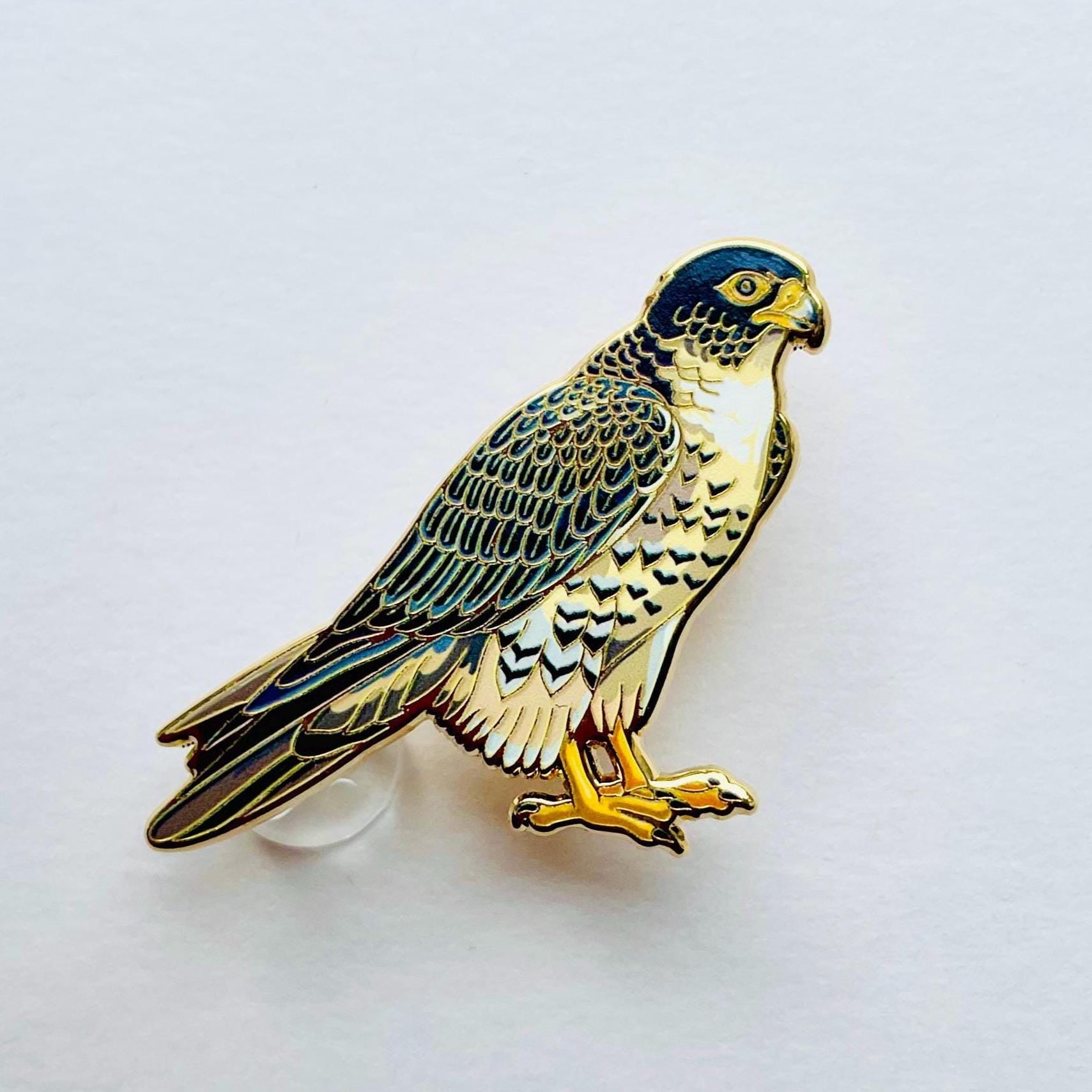 A close-up image of a colorful bird, possibly a parrot, with a detailed and intricate design.