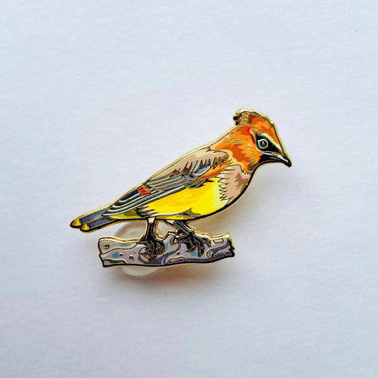 Cedar waxwing colourful gold hard enamel lapel pin badge.