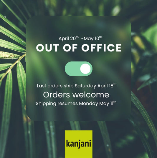 Blue Jay Enamel Pin, Gold Bird Badge, Nature Lover Gift, Christmas stocking stuffer, Advent calendar