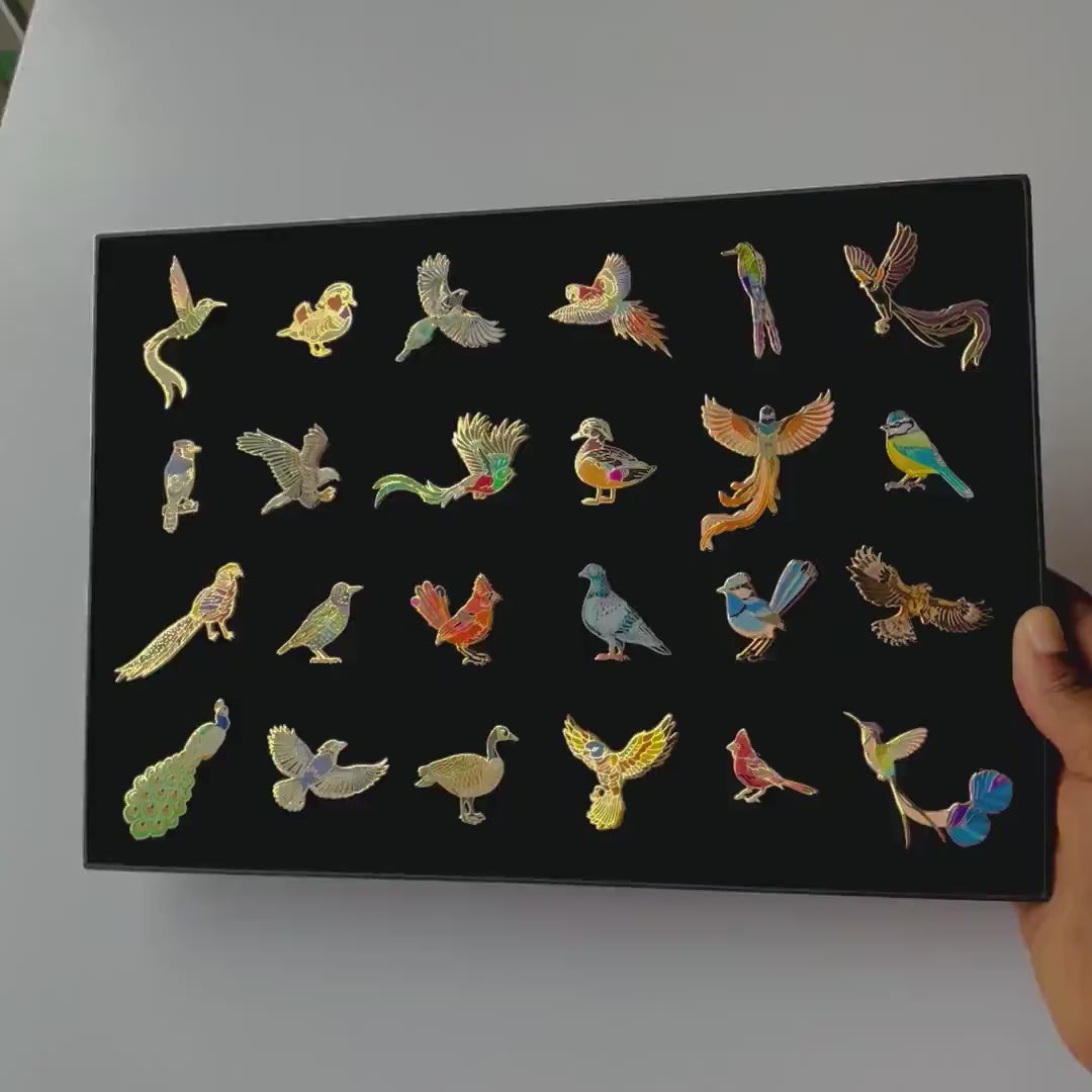 24 Enamel pin gift Birds Advent Calendar, family fun lapel badges, nature, science, wildlife, educational