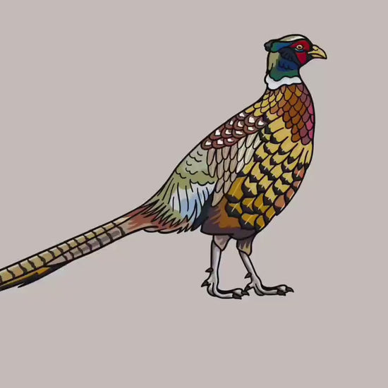 Pheasant Lapel Pin - Colorful Ring-Necked Bird, Gold Enamel, Christmas gift, stocking stuffer, Advent calendar
