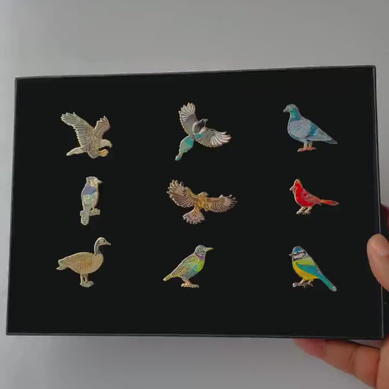 Birds Enamel pin gifts presentation gift box, bird lovers present, quetzal, rock pigeon, eagle, duck, macaw, cardinal, blue Jay, goose,