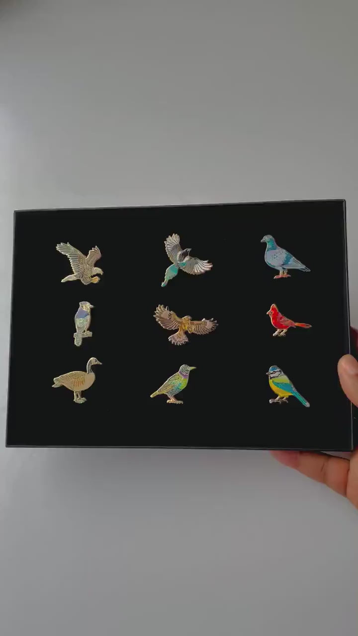 Birds Enamel pin gifts presentation gift box, bird lovers present, quetzal, rock pigeon, eagle, duck, macaw, cardinal, blue Jay, goose,
